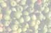 RF_550-22500p_2