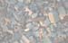 RF_550-54504