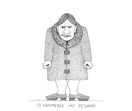 F5_IT_HAMMARED_MY_PETUNIAS