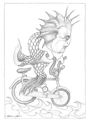 Q5_FISH_BICYCLE