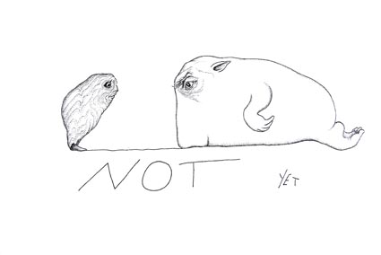 T4_NOT_YET